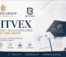 Britvex accountancy tax and compliance assurance within The Syed Group showing financial records, reconciliation and compliance checks