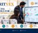 Britvex financial control framework showing invoices, bank reconciliations, VAT records, exception detection, escalation, correction and management reporting